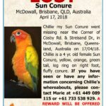 Sun Conure Names