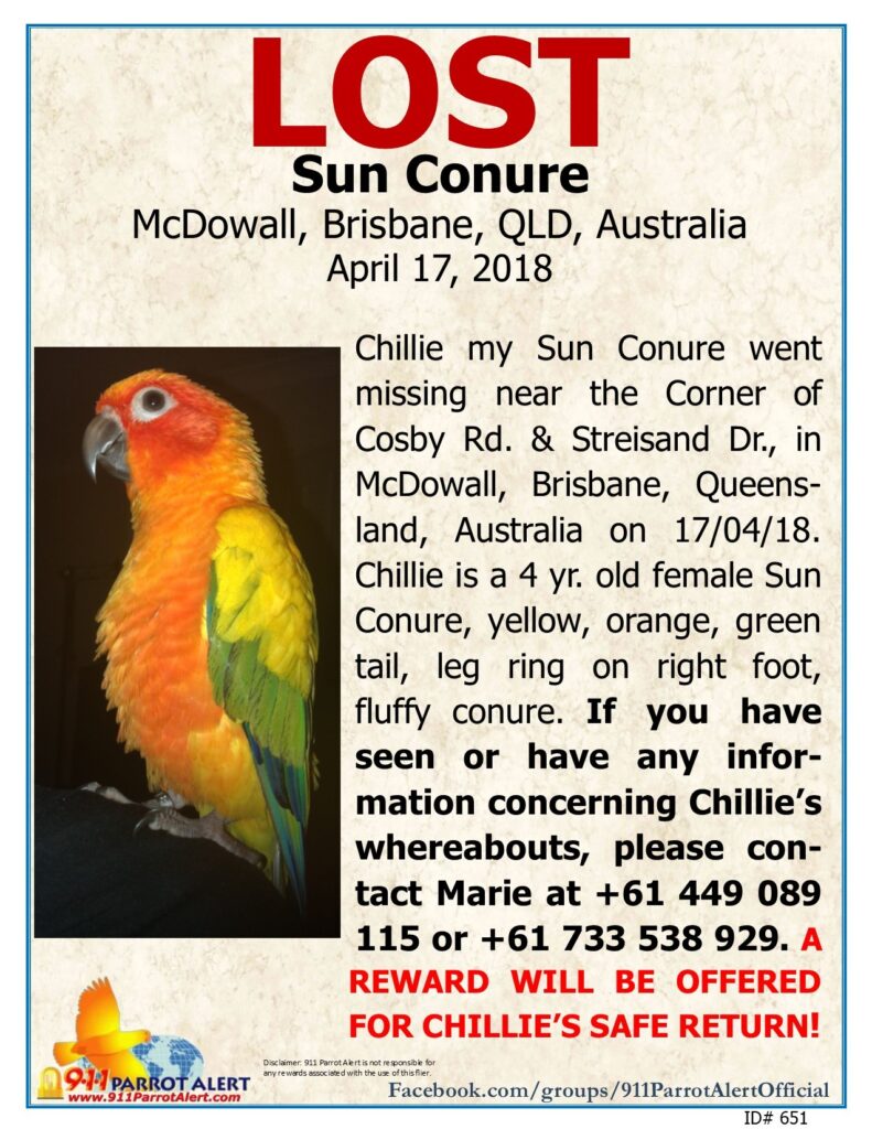 Sun Conure Names