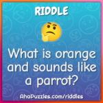 What'S Orange And Sounds Like A Parrot